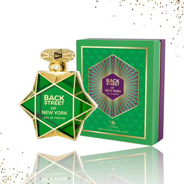 Back Street of New York by Le Chameau