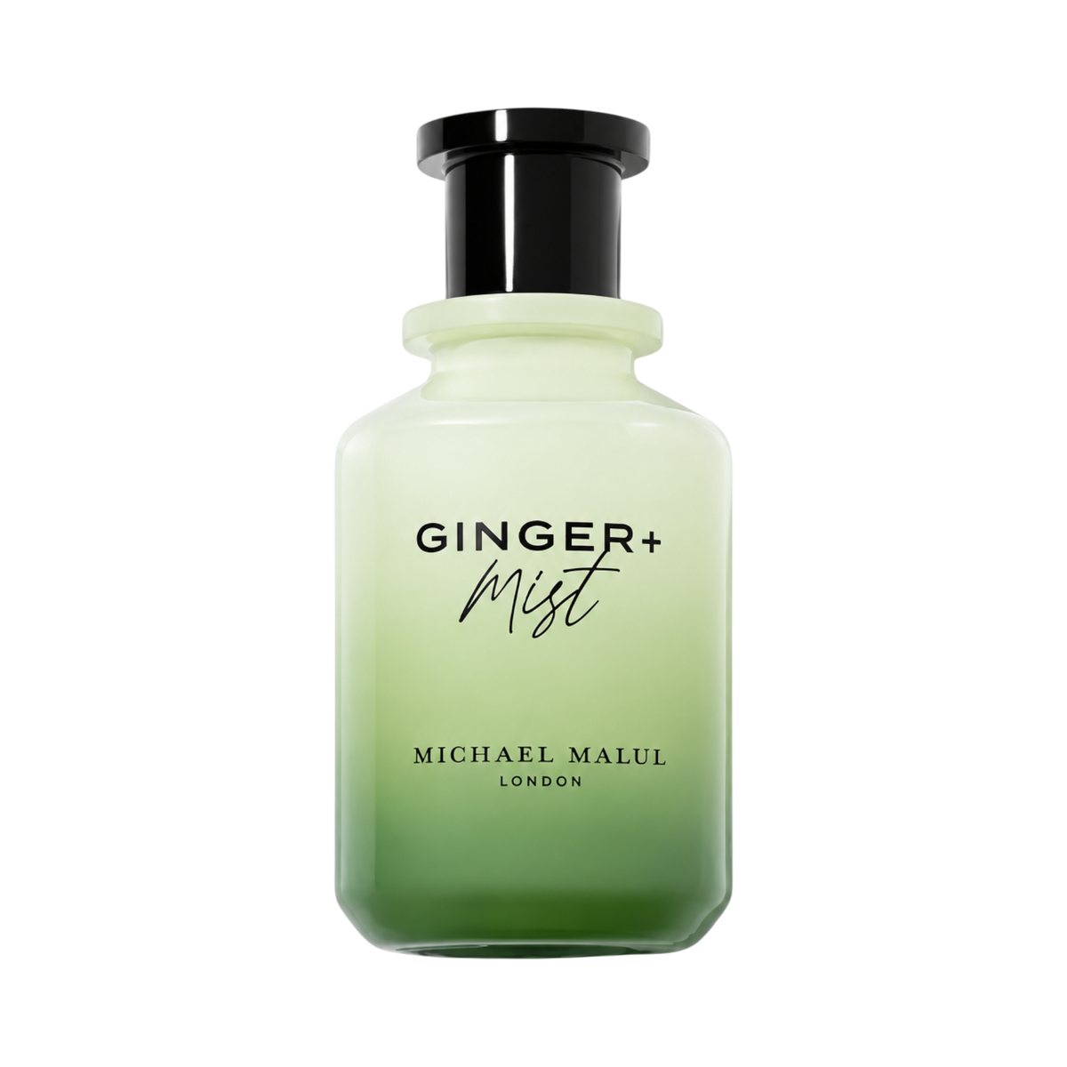 Ginger + Mist By Michael Malul