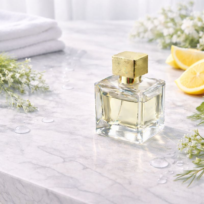 Fresh Collection — clean, airy, everyday-friendly fragrances.