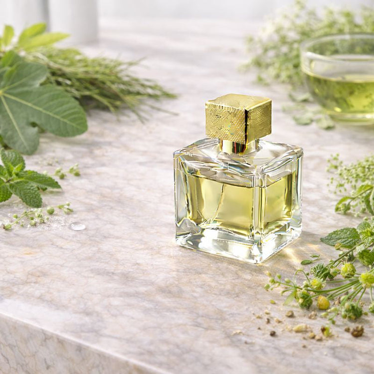 Green Collection — crisp, leafy, fresh green fragrances.