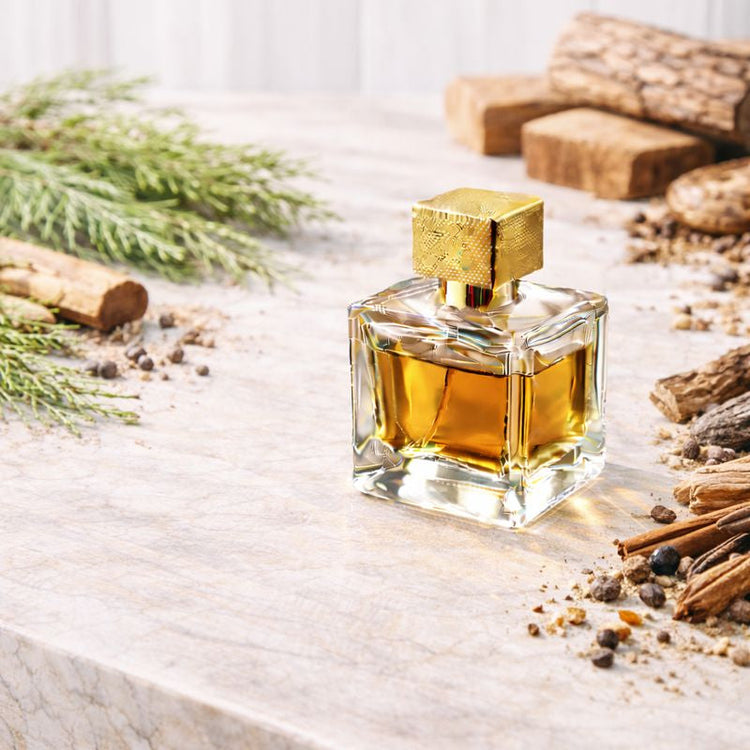 Woody Collection — warm, wood-inspired fragrances.