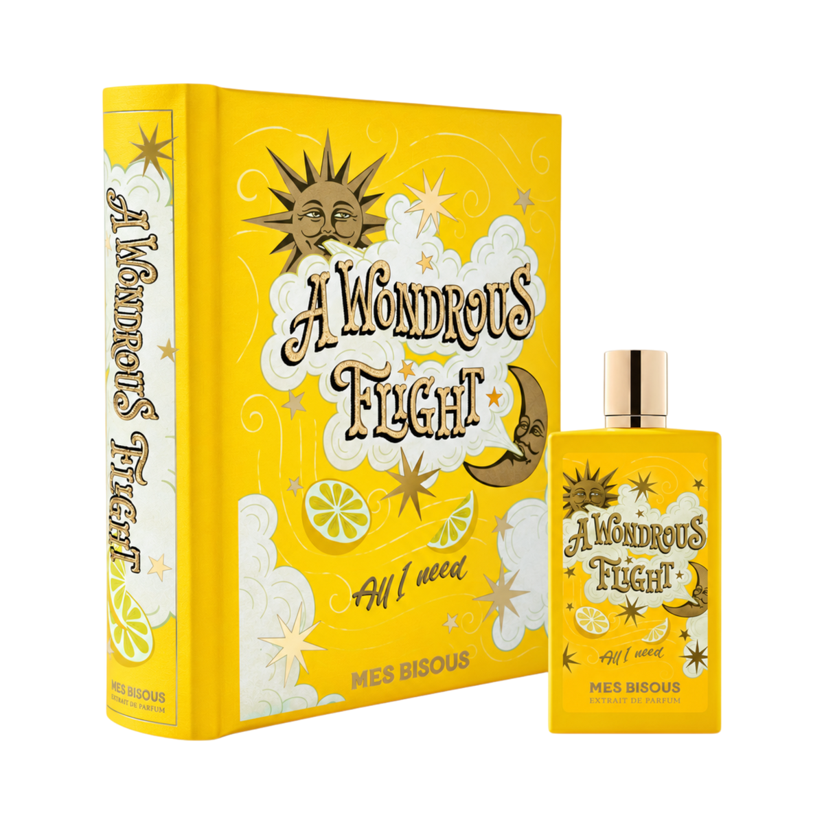 A Wondrous Flight by Mes Bisous