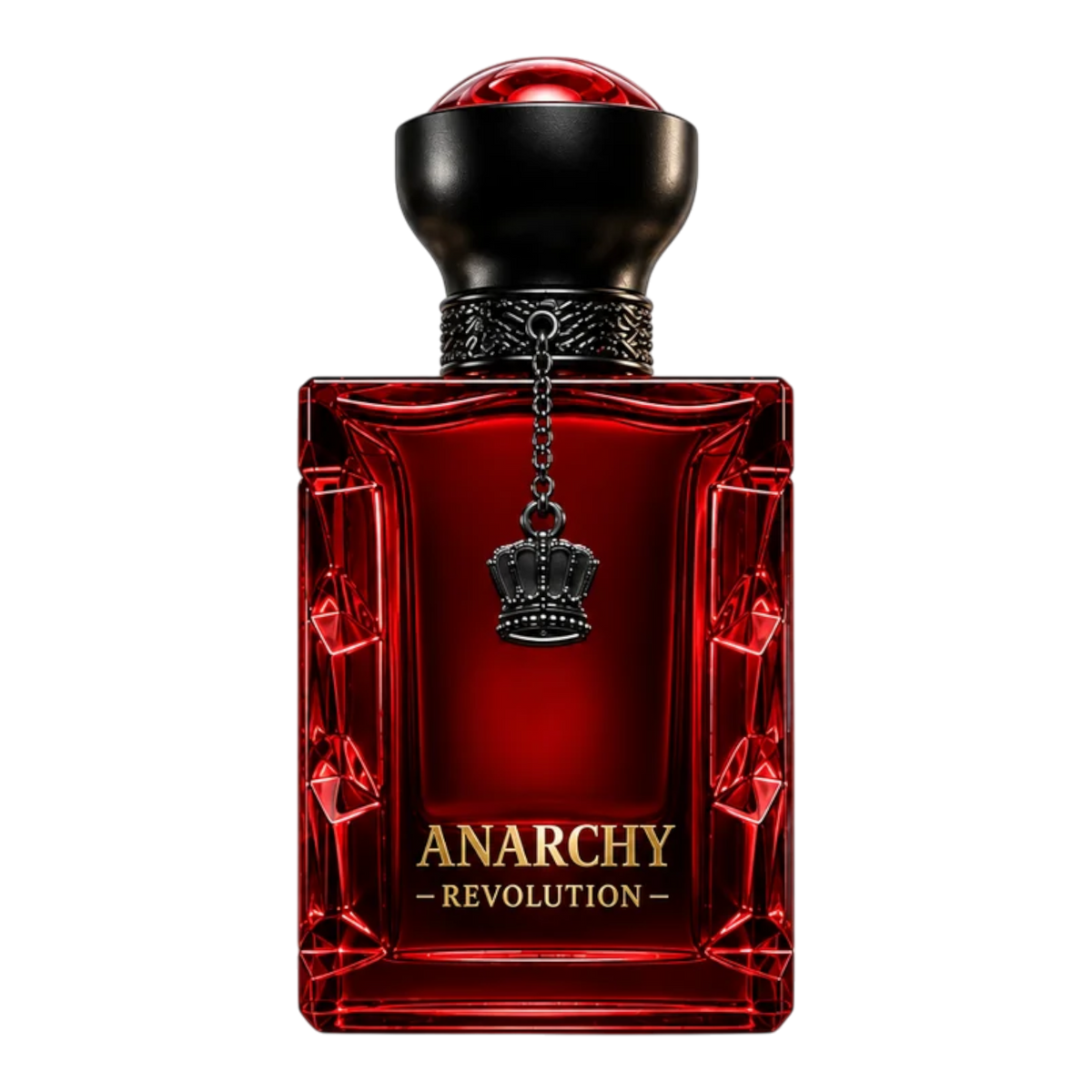 Anarchy Revolution