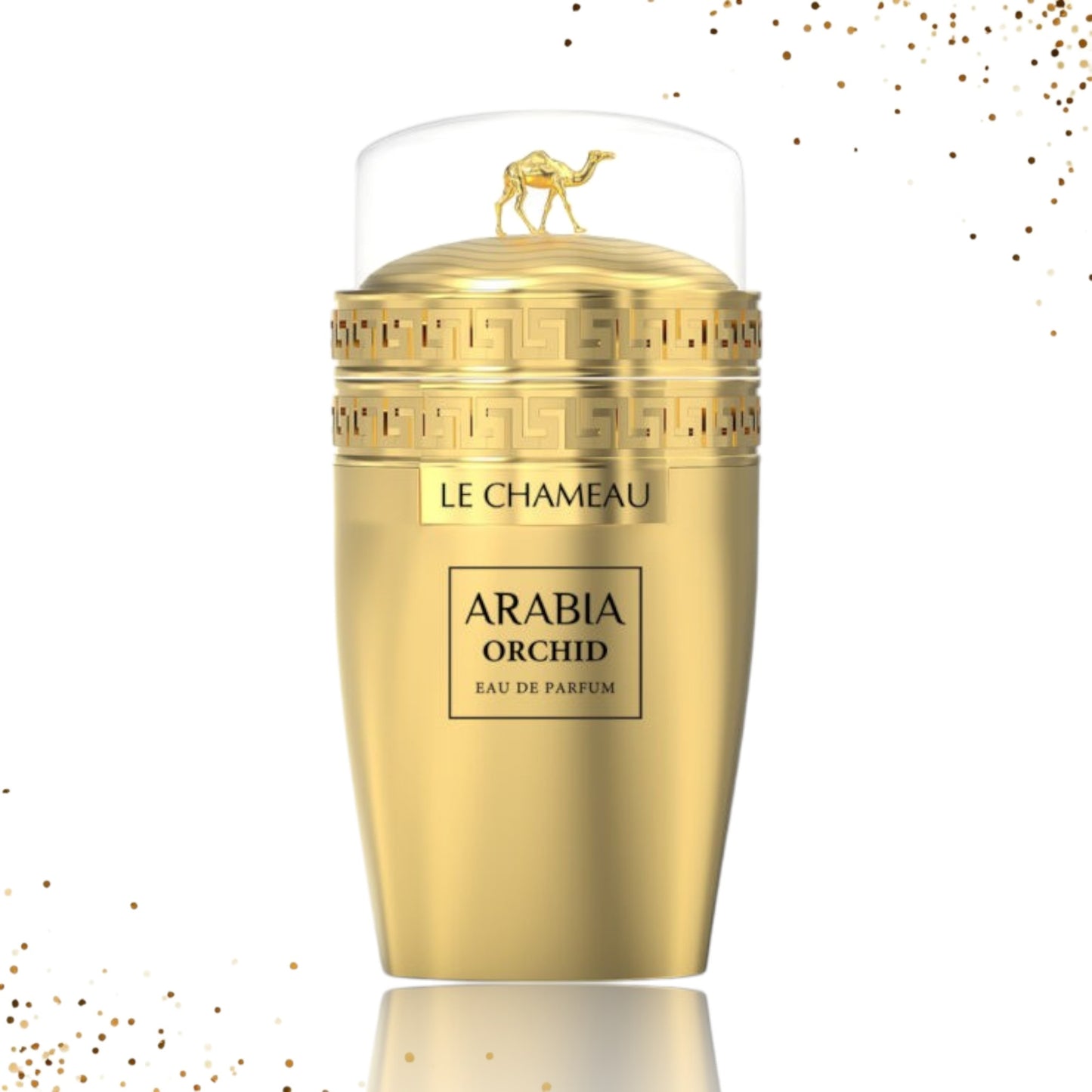 Arabia Orchid By Le Chameau