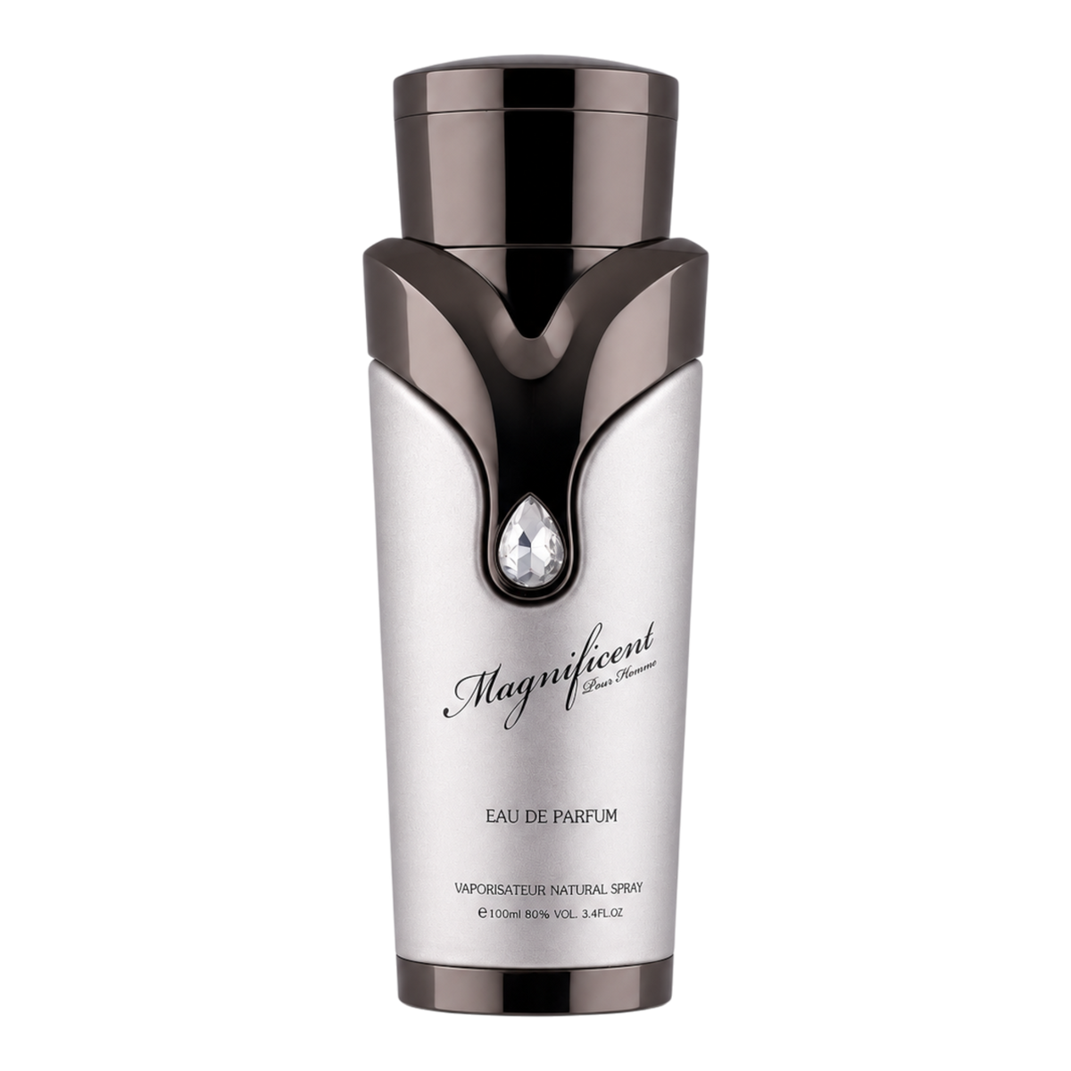 Magnificent Pour Homme By Armaf 3.4 Oz EDP