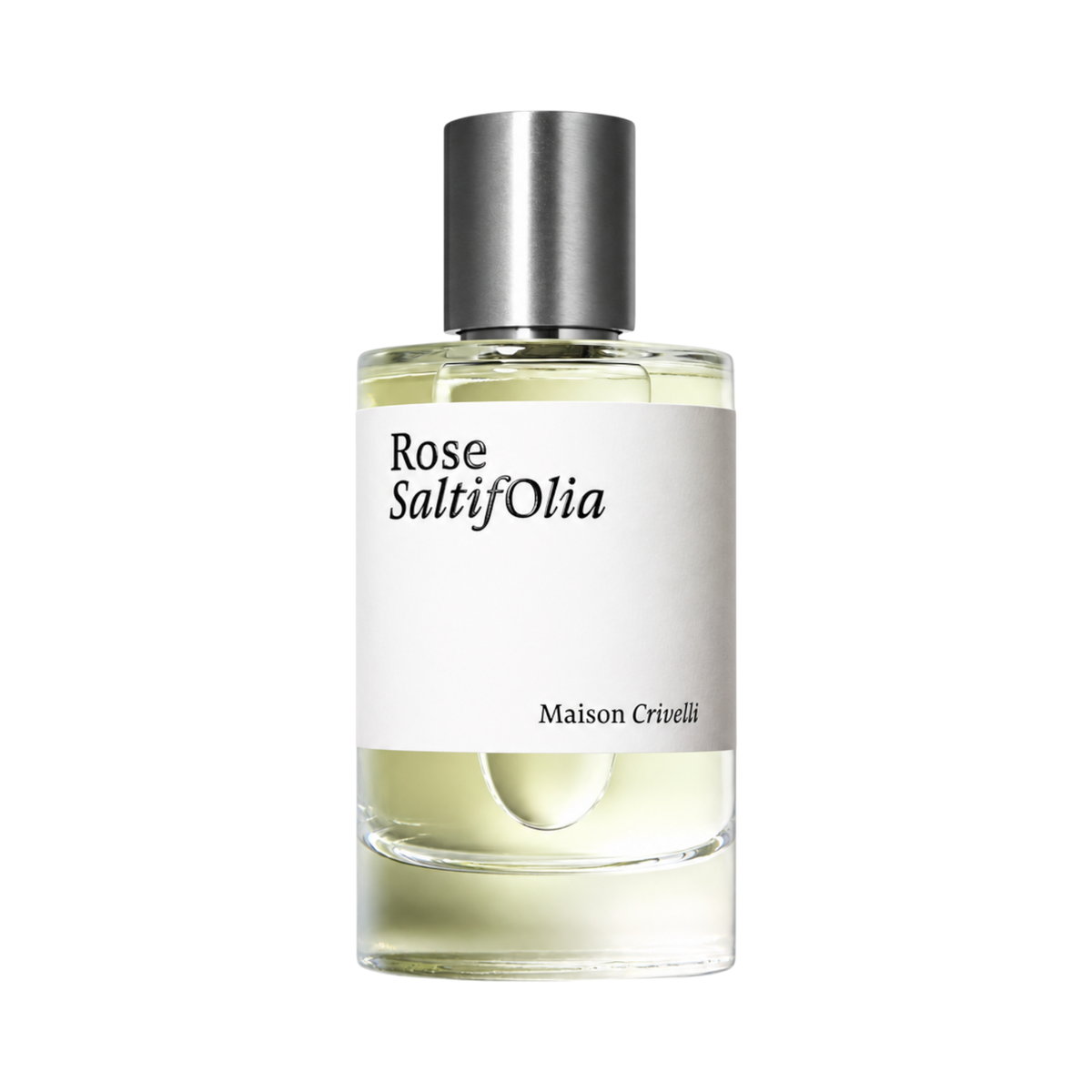 Rose SaltifOlia by Maison Crivelli