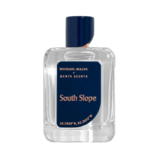 South Slope by Michael Malul