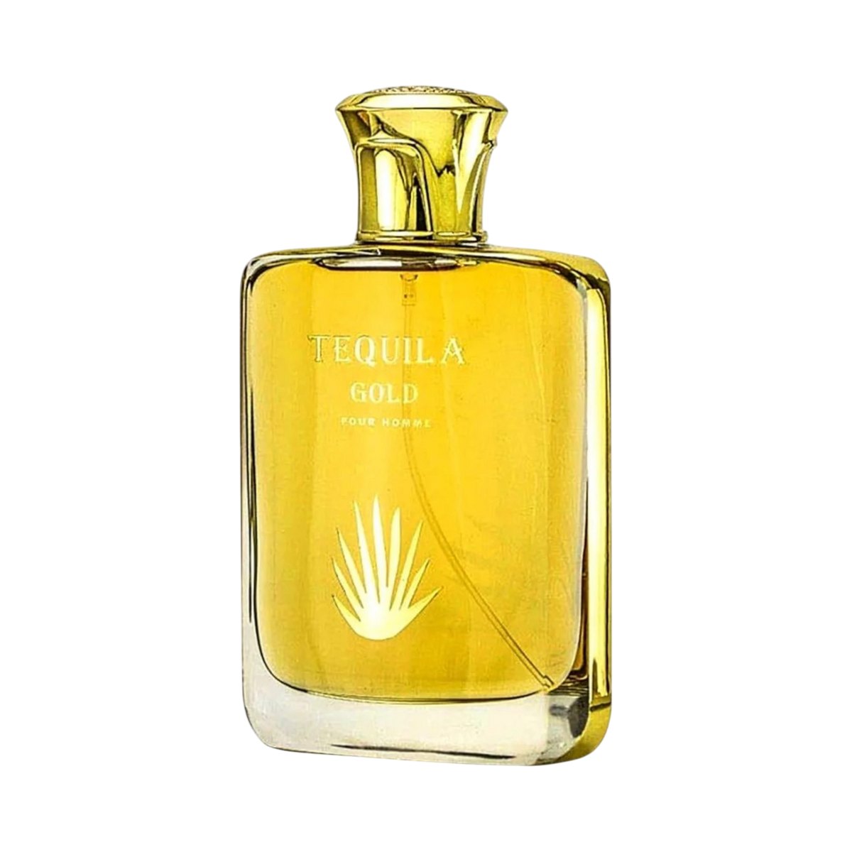 Tequila Gold Pour Homme 3.4 Oz EDP by Bharara