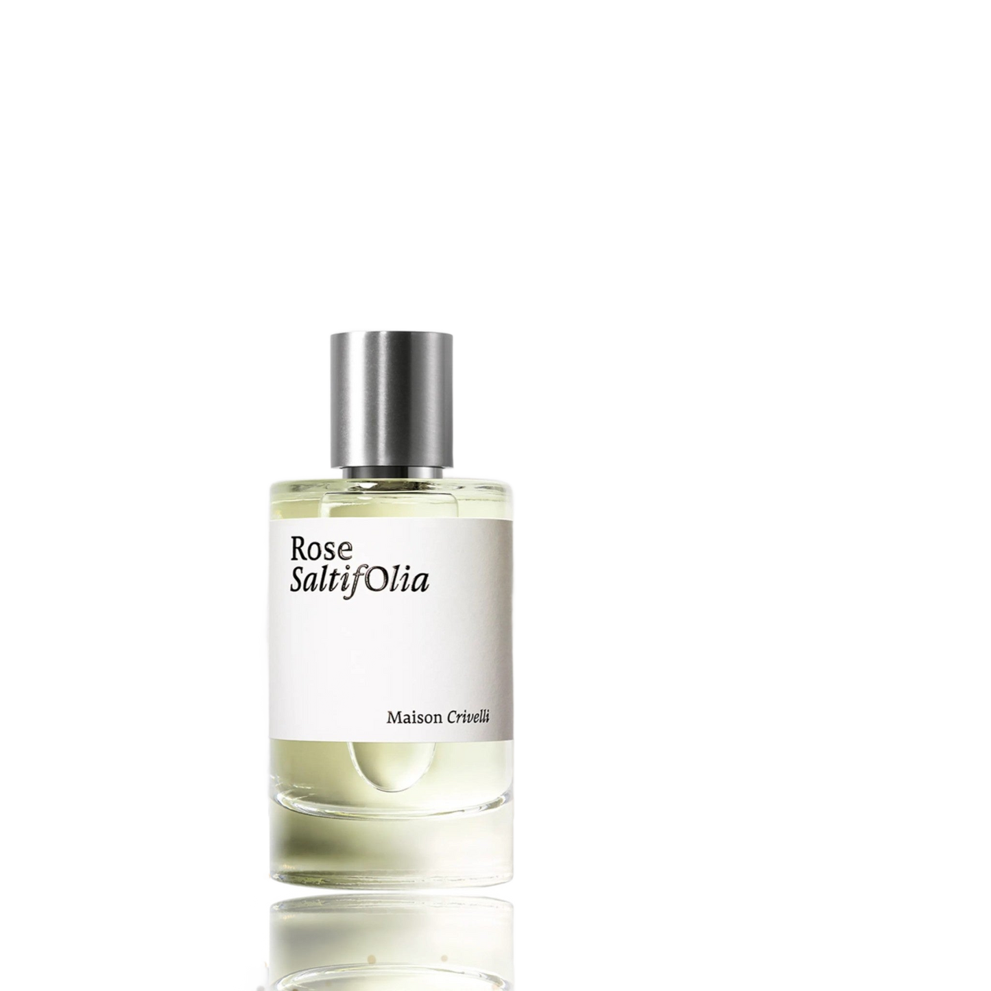 Rose SaltifOlia by Maison Crivelli