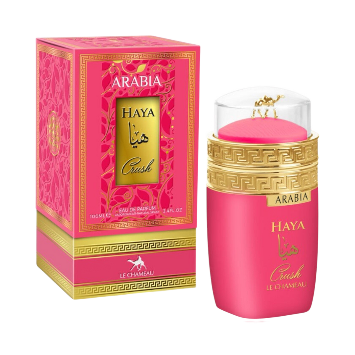 Arabia Haya Crush by Le Chameau