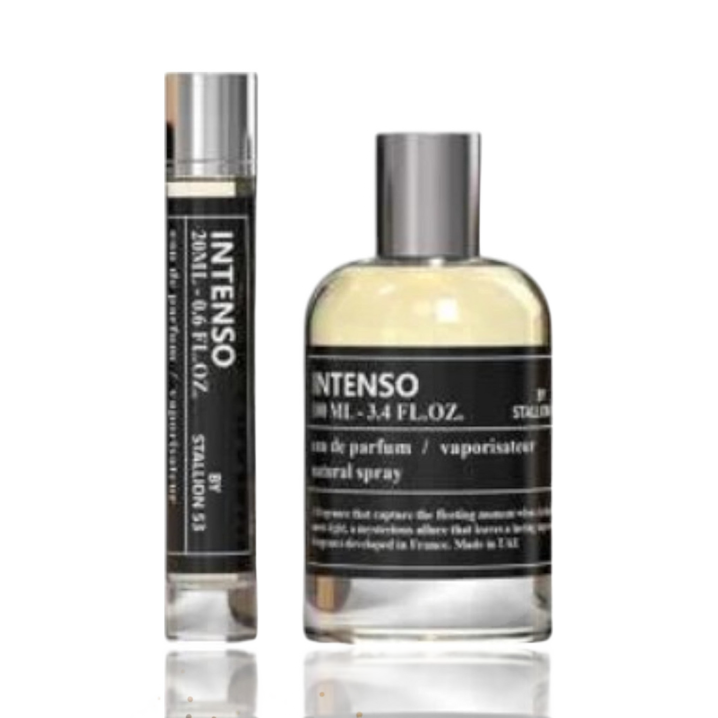 Intenso by Stallion 53