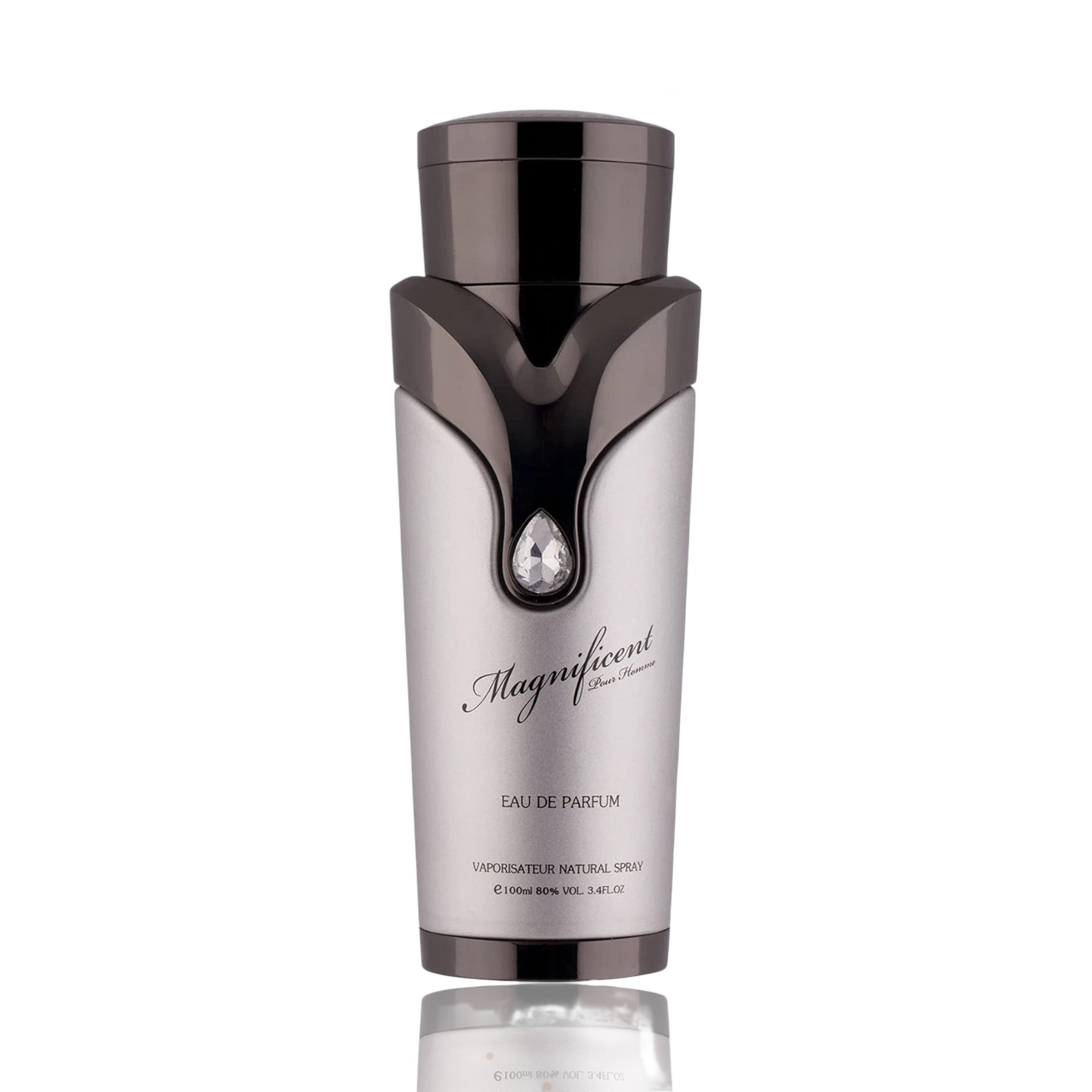 Magnificent Pour Homme By Armaf 3.4 Oz EDP