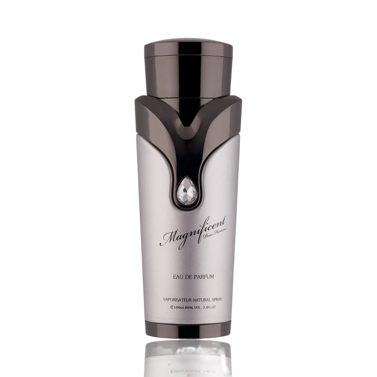 Magnificent Pour Homme By Armaf 3.4 Oz EDP