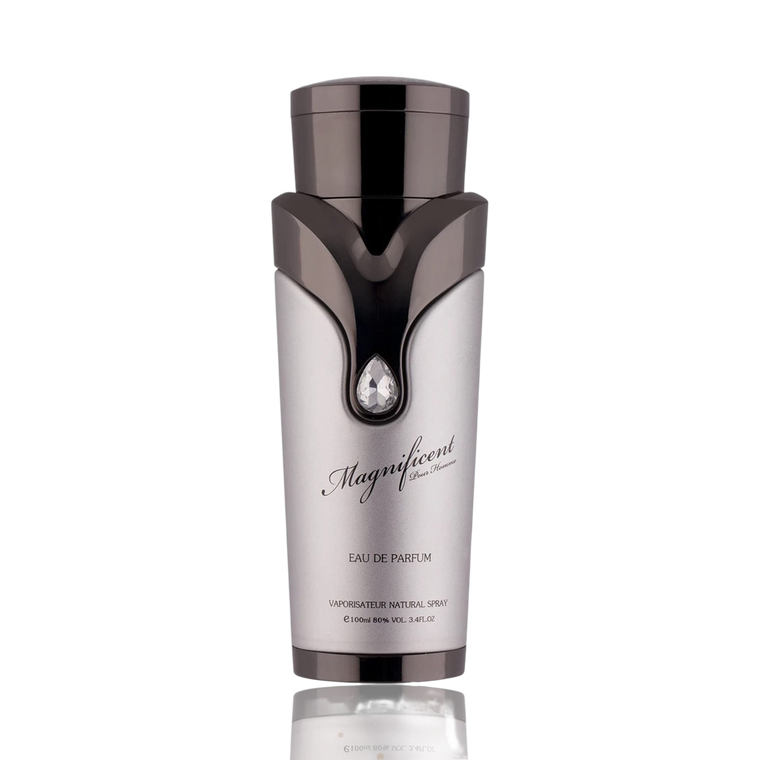 Magnificent Pour Homme By Armaf 3.4 Oz EDP