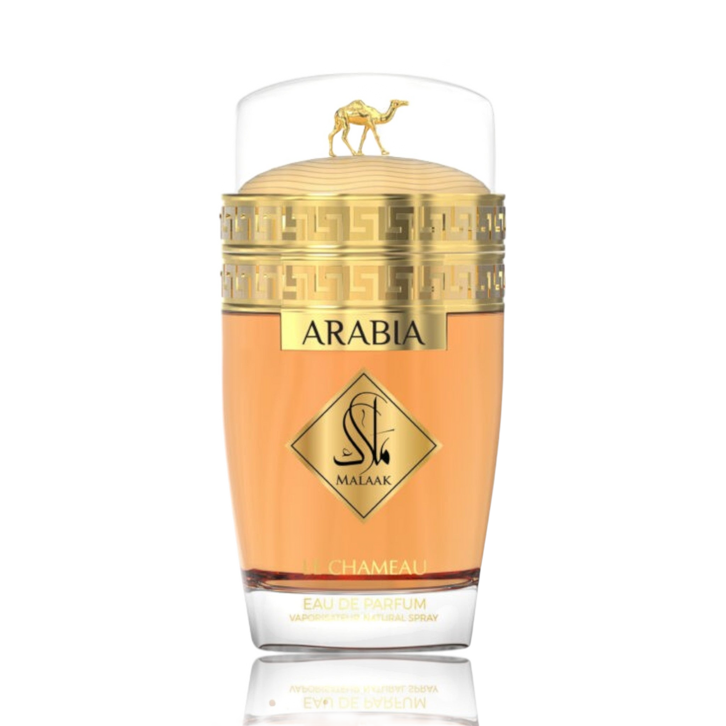 Arabia Malaak By Le Chameau