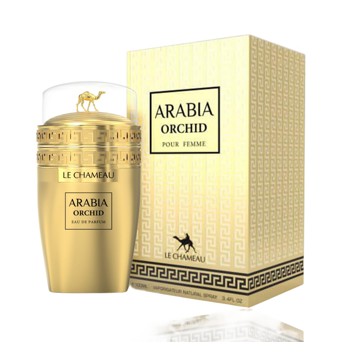 Arabia Orchid By Le Chameau