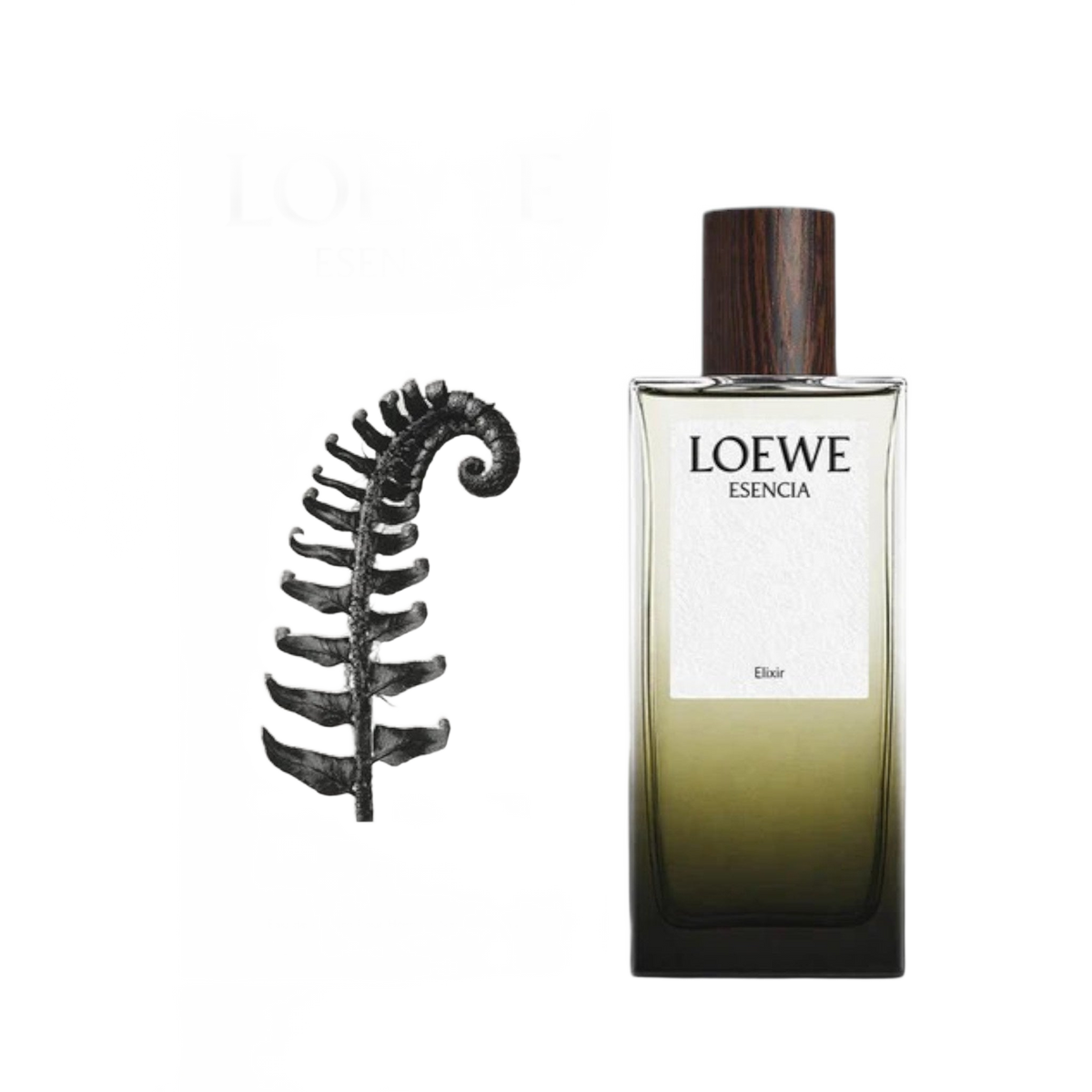 Esencia Elixir by Loewe