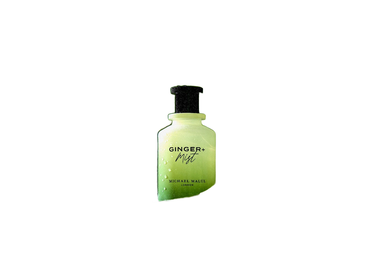 Ginger + Mist By Michael Malul