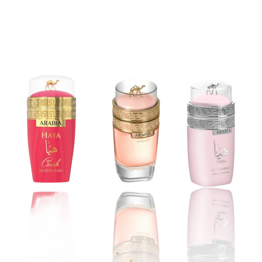Arabia Combo By Le Chameau  Set 3 Pieces