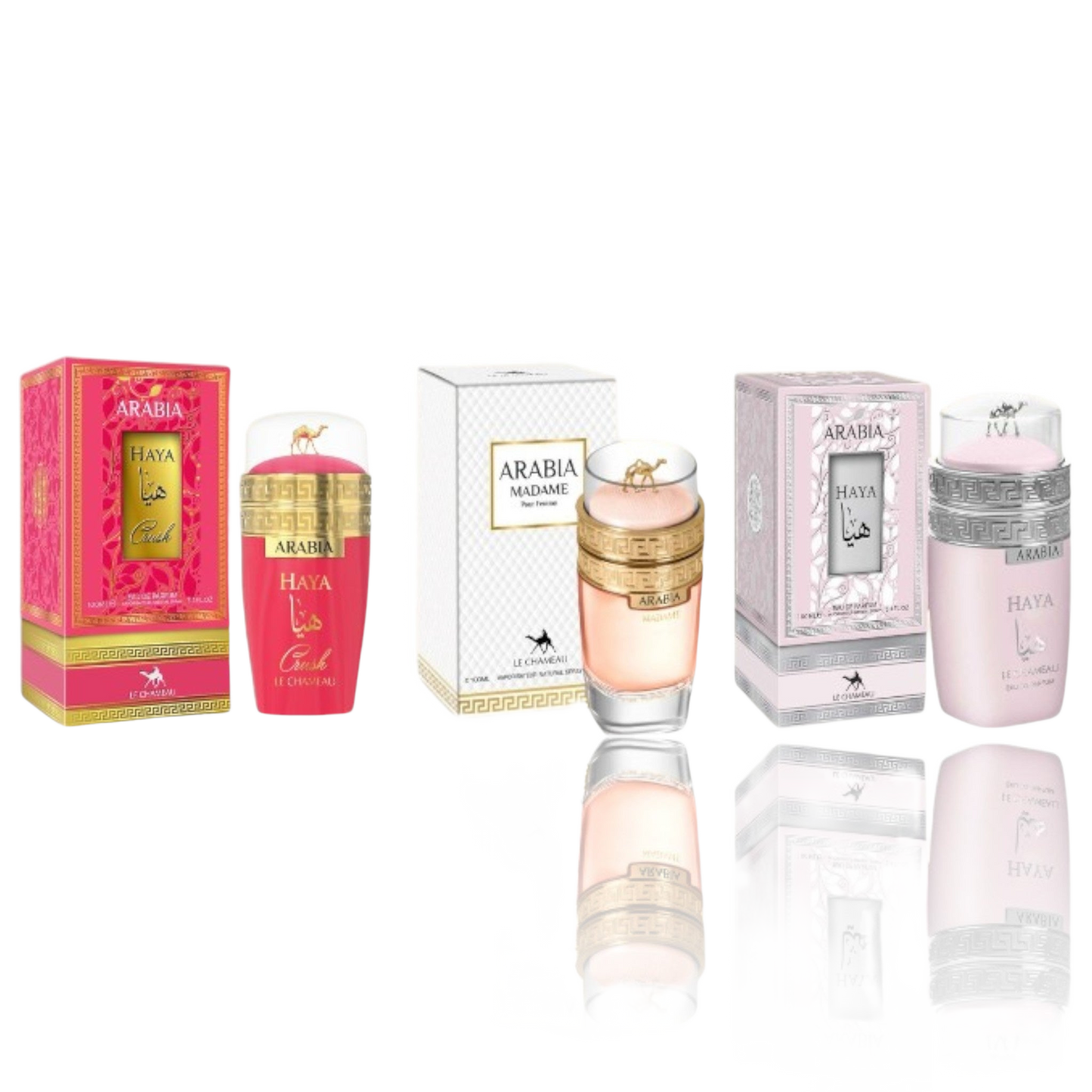 Arabia Combo By Le Chameau  Set 3 Pieces