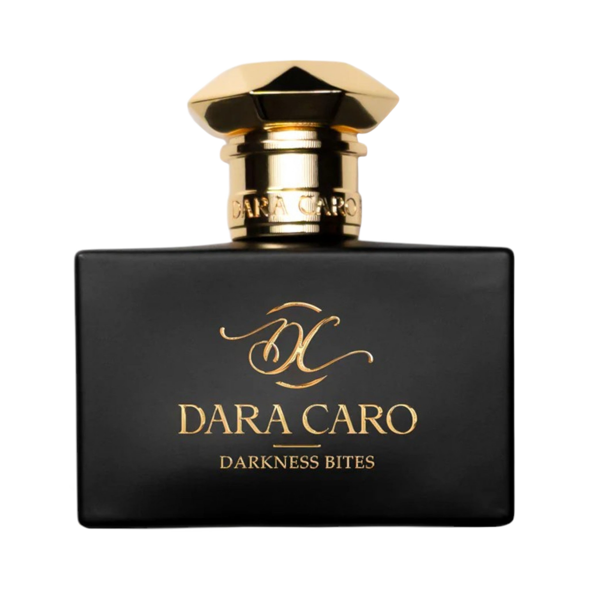 Darkness Bites By Dara Caro